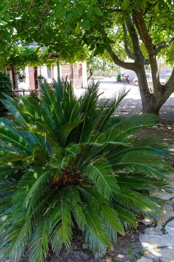 Naiadi Loft Apartment Nerezine Εξωτερικό φωτογραφία